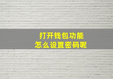 打开钱包功能怎么设置密码呢