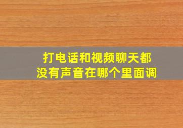 打电话和视频聊天都没有声音在哪个里面调