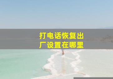 打电话恢复出厂设置在哪里