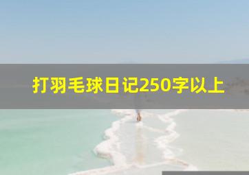 打羽毛球日记250字以上