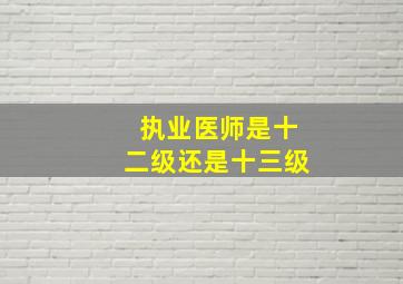 执业医师是十二级还是十三级