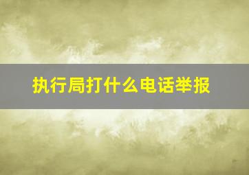 执行局打什么电话举报