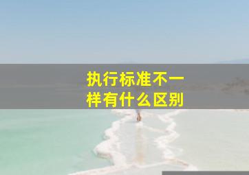 执行标准不一样有什么区别