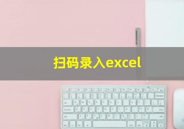 扫码录入excel