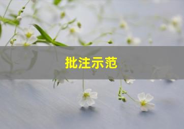 批注示范