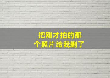 把刚才拍的那个照片给我删了