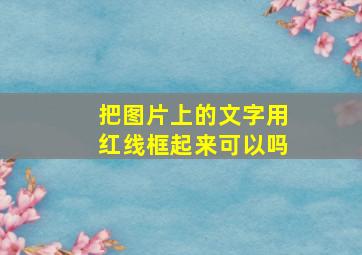 把图片上的文字用红线框起来可以吗