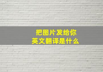 把图片发给你英文翻译是什么