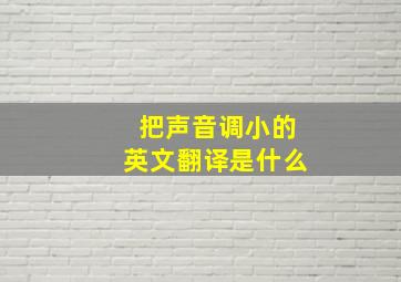 把声音调小的英文翻译是什么