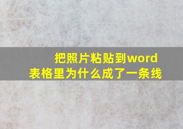 把照片粘贴到word表格里为什么成了一条线