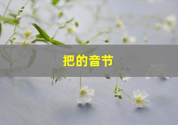 把的音节