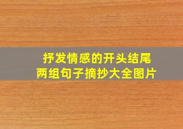 抒发情感的开头结尾两组句子摘抄大全图片