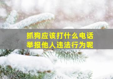 抓狗应该打什么电话举报他人违法行为呢