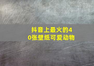 抖音上最火的40张壁纸可爱动物