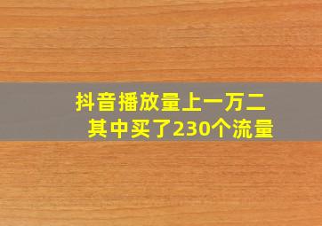 抖音播放量上一万二其中买了230个流量