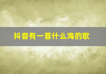 抖音有一首什么海的歌