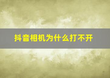 抖音相机为什么打不开