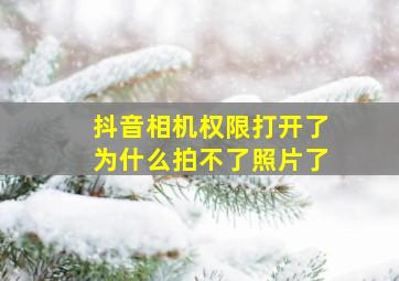 抖音相机权限打开了为什么拍不了照片了