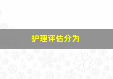 护理评估分为