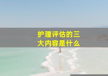 护理评估的三大内容是什么