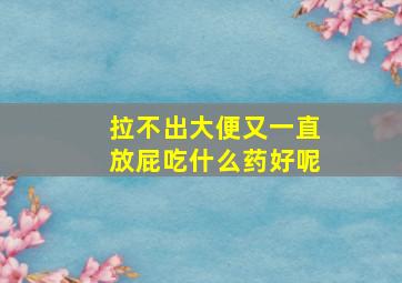 拉不出大便又一直放屁吃什么药好呢