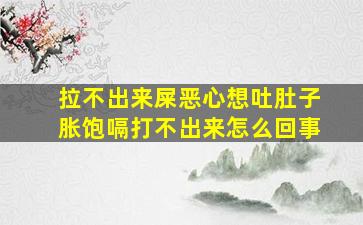 拉不出来屎恶心想吐肚子胀饱嗝打不出来怎么回事