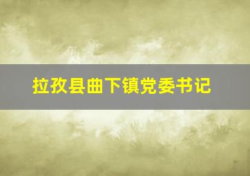 拉孜县曲下镇党委书记