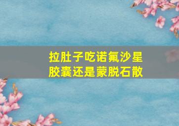 拉肚子吃诺氟沙星胶囊还是蒙脱石散