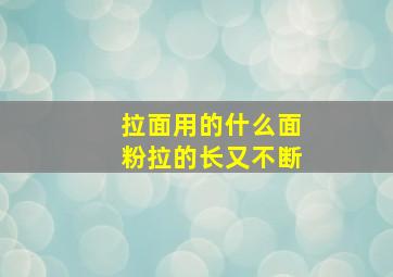 拉面用的什么面粉拉的长又不断