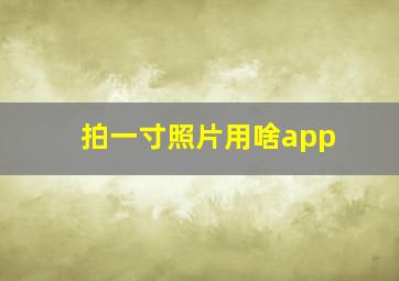 拍一寸照片用啥app