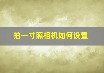 拍一寸照相机如何设置