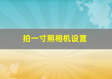 拍一寸照相机设置