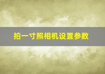 拍一寸照相机设置参数