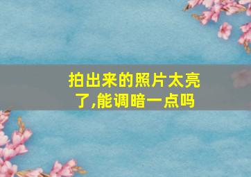 拍出来的照片太亮了,能调暗一点吗