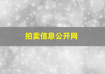 拍卖信息公开网