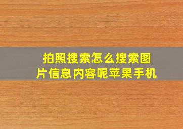 拍照搜索怎么搜索图片信息内容呢苹果手机