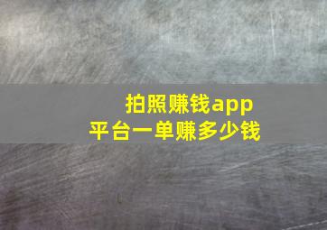 拍照赚钱app平台一单赚多少钱