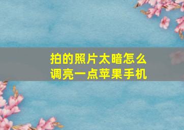 拍的照片太暗怎么调亮一点苹果手机