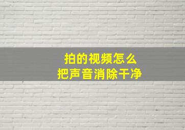 拍的视频怎么把声音消除干净