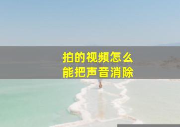 拍的视频怎么能把声音消除