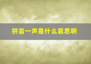 拼音一声是什么意思啊