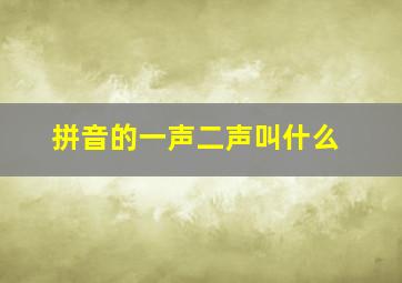 拼音的一声二声叫什么