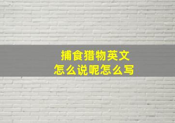 捕食猎物英文怎么说呢怎么写