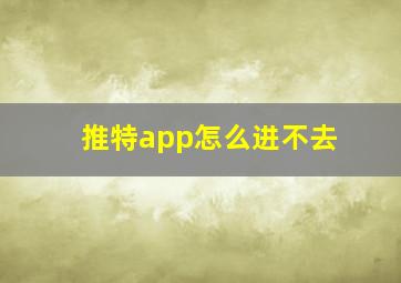 推特app怎么进不去