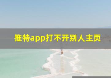 推特app打不开别人主页