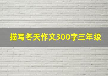 描写冬天作文300字三年级