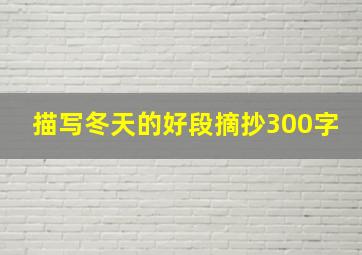 描写冬天的好段摘抄300字