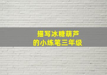 描写冰糖葫芦的小练笔三年级