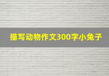 描写动物作文300字小兔子