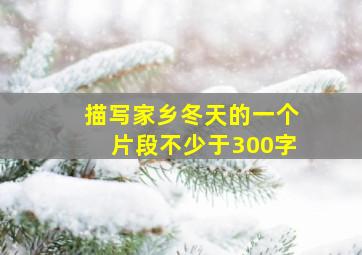 描写家乡冬天的一个片段不少于300字